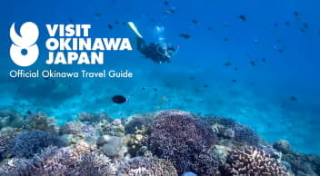 Visit Okinawa Official Site